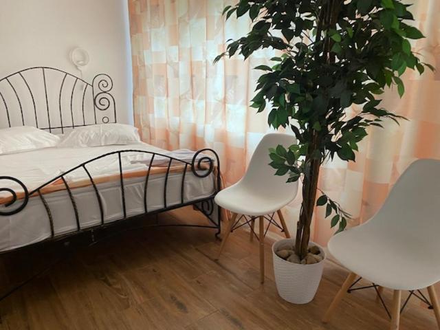Отель Suzana Garden Венус Экстерьер фото