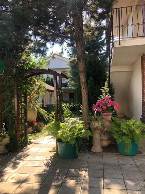 Отель Suzana Garden Венус Экстерьер фото
